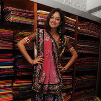 Haripriya launches Sanskriti Festive Designer collection Sarees - Pictures | Picture 104058